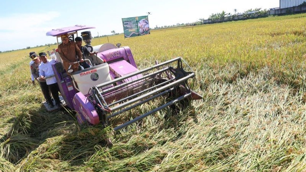 Gubernur Banten, Andra Soni, memastikan harga gabah kering panen (GKP) di tingkat petani mencapai Rp6.500 per kg, hasil komitmen bersama Bulog dan upaya peningkatan produksi pertanian di masa mendatang.