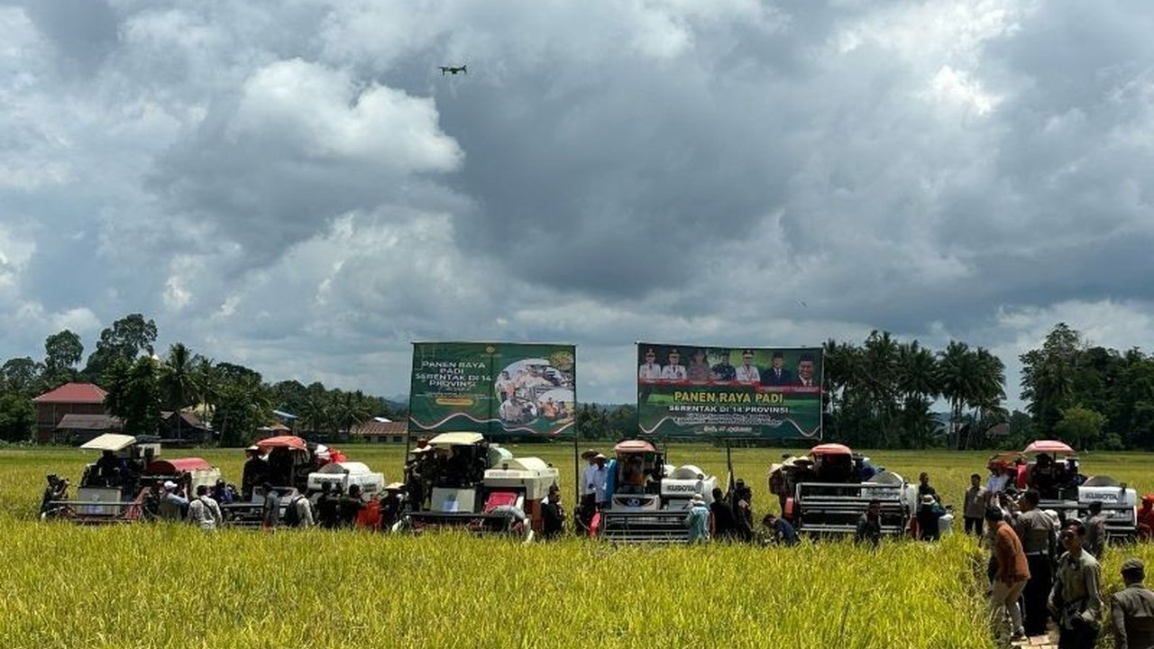 Sulawesi Selatan menggelar panen raya serentak di 12 kabupaten/kota dengan luas lahan mencapai 123.397 hektare, disaksikan langsung Gubernur Andi Sudirman Sulaiman.