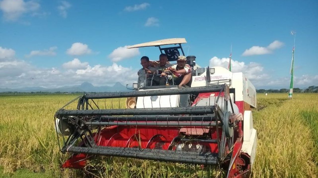 Tren surplus padi di Tulungagung menurun dalam lima tahun terakhir, namun Pemkab Tulungagung memastikan stok beras masih aman untuk memenuhi kebutuhan masyarakat.