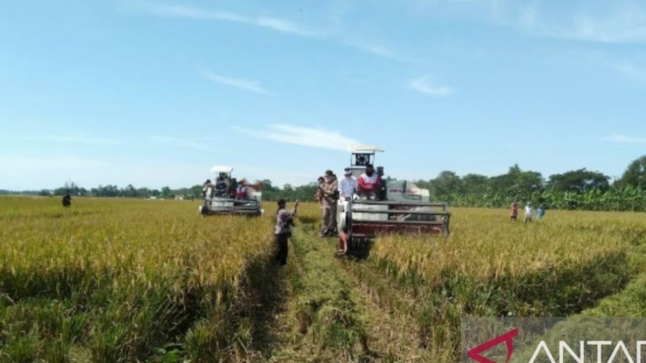 Pemkab Purwakarta berambisi meningkatkan surplus gabah kering panen hingga 100 ribu ton per tahun untuk memperkuat ketahanan pangan Jawa Barat.