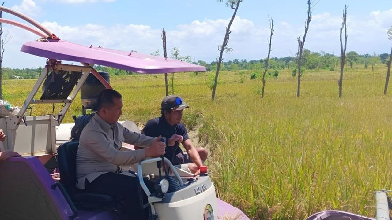 Bulog NTB sukses menyerap 112 ton gabah dari 18 kelompok tani senilai Rp728 juta, dan mendorong petani beralih ke sistem pembayaran non-tunai untuk percepat distribusi gabah berkualitas.