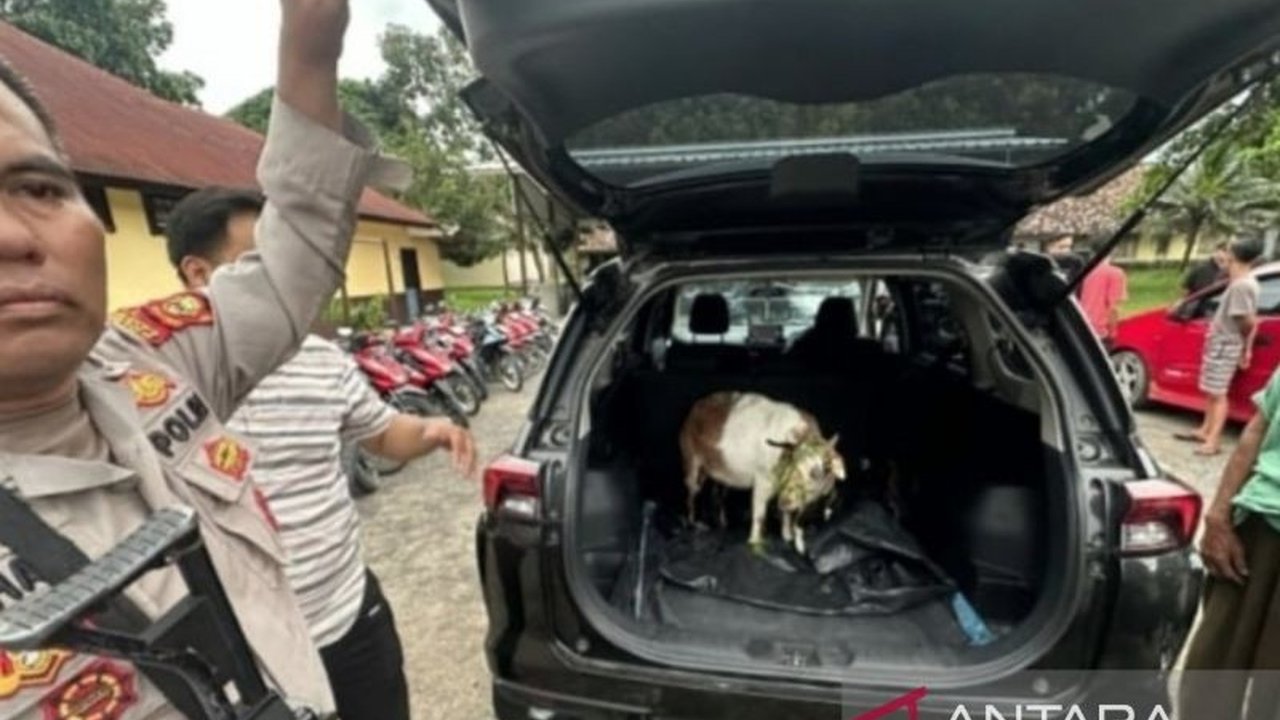 Polisi Ogan Ilir menangkap tiga pelaku pencurian kambing yang dilengkapi senjata api rakitan dan senjata tajam, dua pelaku lainnya masih buron.