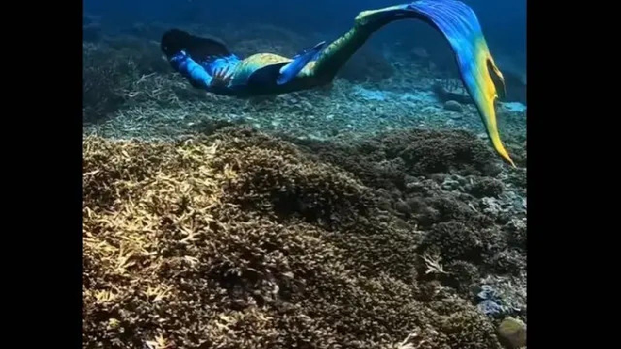 Pakai Kostum Duyung, Gubernur Sherly Tjoanda Unjuk Skill Menyelam dan Keindahan Pantai Maluku Utara. foto: TiiikTok @sherlytjoanda