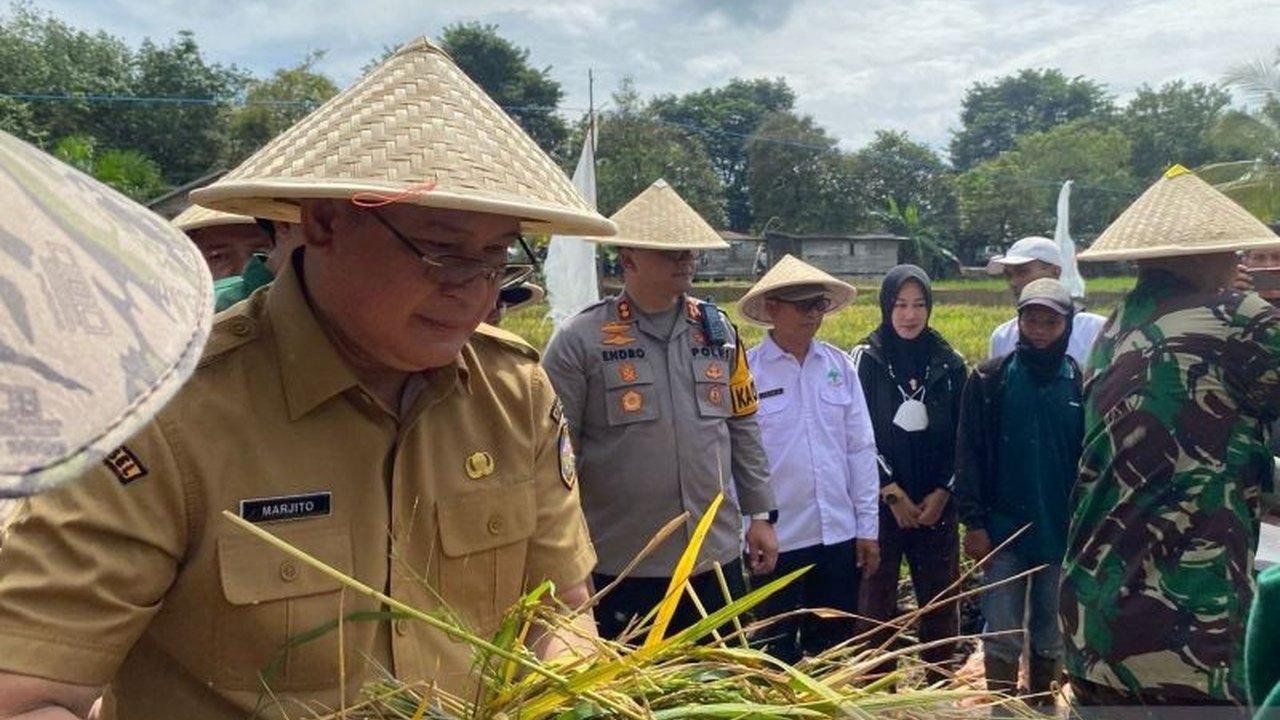 Kabupaten Ogan Komering Ulu (OKU), Sumatera Selatan, menerima kuota pupuk bersubsidi yang meningkat pada tahun ini, dengan 5.360 ton Urea untuk memenuhi kebutuhan petani.