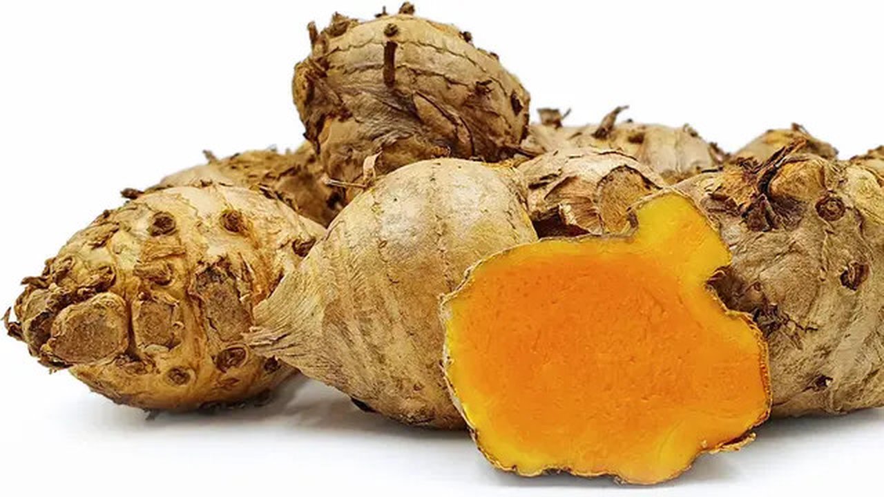 Ilustrasi Temulawak Credit: pinterest.com/Anka