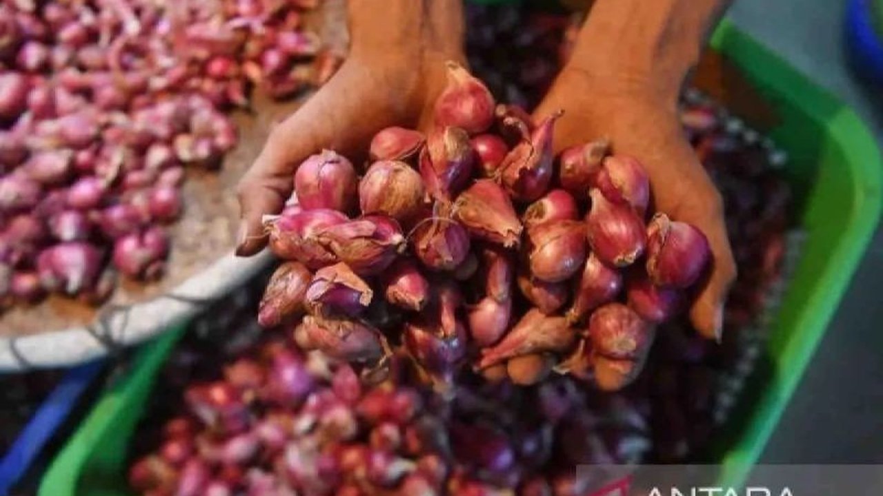 Bapanas melaporkan penurunan harga bawang merah dan cabai rawit di pasaran, serta update harga komoditas pangan lainnya di Indonesia.
