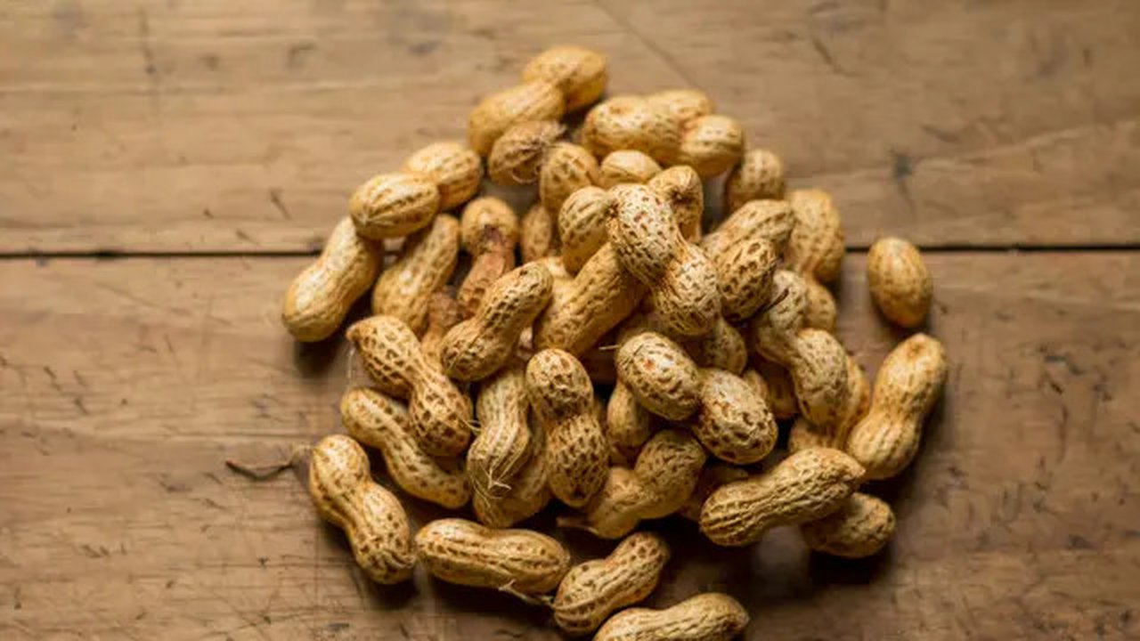 Ilustrasi kacang tanah. (Foto: Unsplash/Isai Dzib)