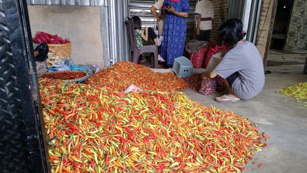 Dinas Perdagangan Kota Mataram melakukan survei pasar untuk mencari penyebab harga cabai rawit yang masih tinggi, bahkan mencapai Rp100.000/kg setelah Lebaran.