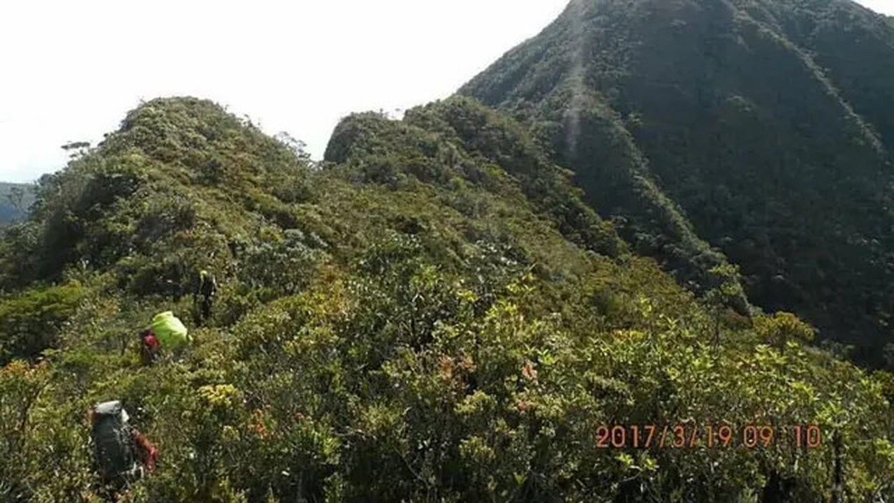 Gunung Kurik, gunung tertinggi di Aceh Timur. (Dok: @univ_syiahkuala https://www.insta