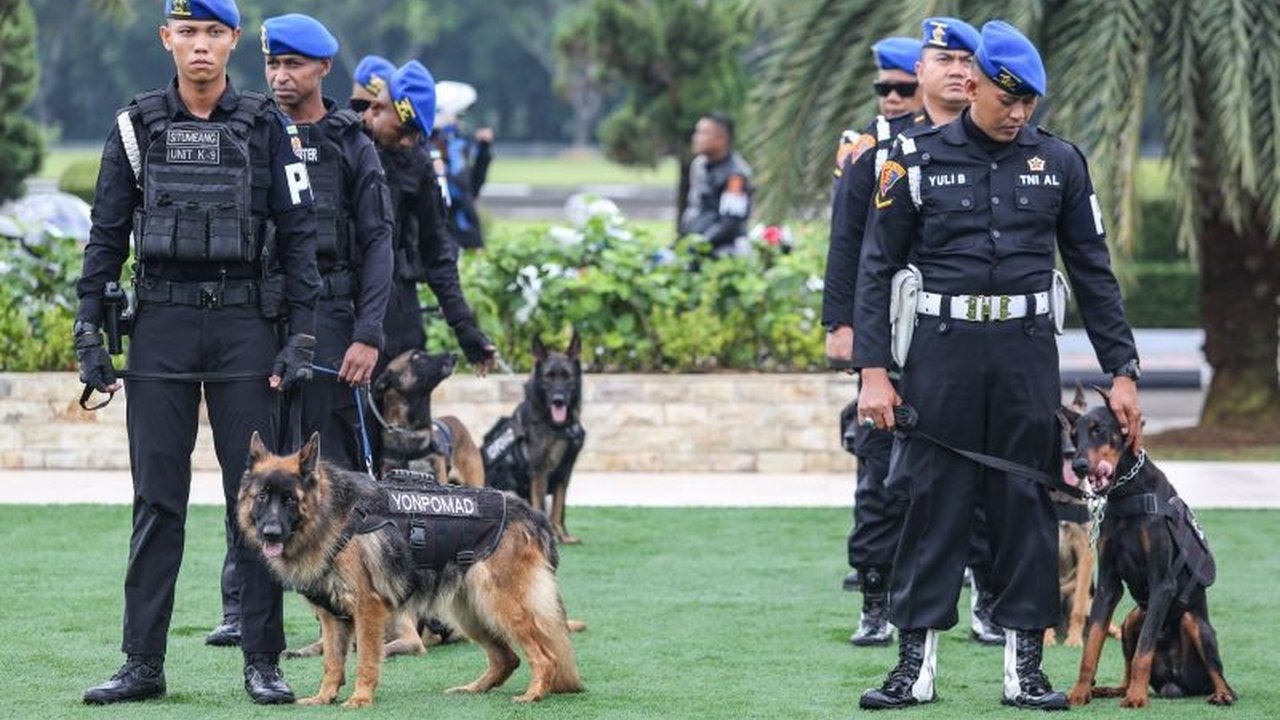 UU TNI yang baru disahkan menimbulkan kekhawatiran akan kembalinya dwifungsi TNI, namun sebenarnya hal tersebut merujuk pada perluasan Operasi Militer Selain Perang (OMSP) yang bertujuan meningkatkan efektivitas pertahanan dan penegakan hukum.