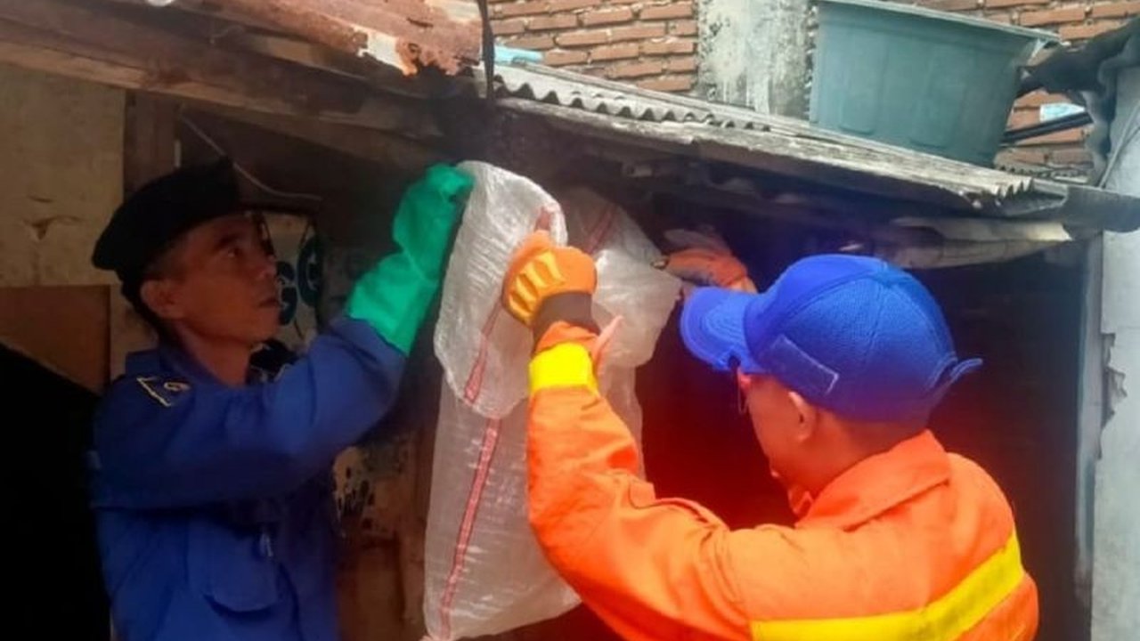 Waspada Hewan Liar! BPBD Kota Tangerang Imbau Warga Segera Lapor