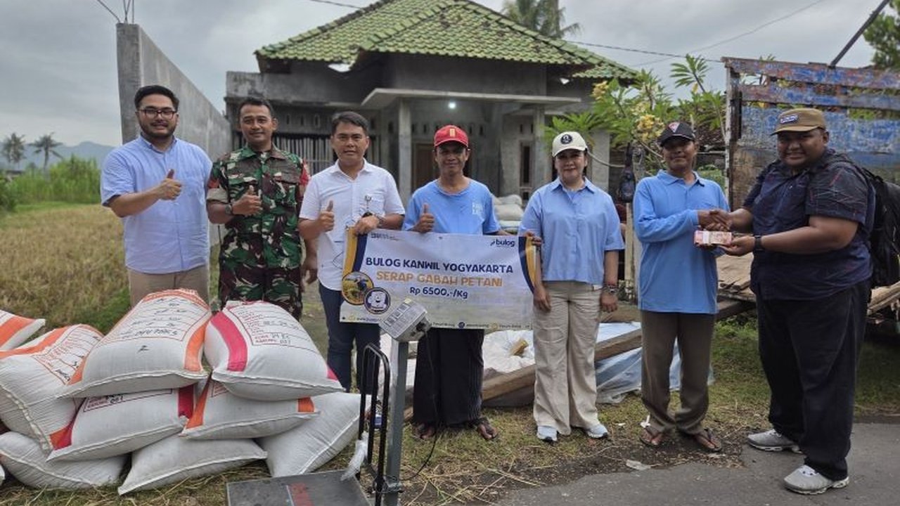 Rabu Biru dan Bulog Jamin Kesejahteraan Petani Sleman Lewat Serap Gabah
