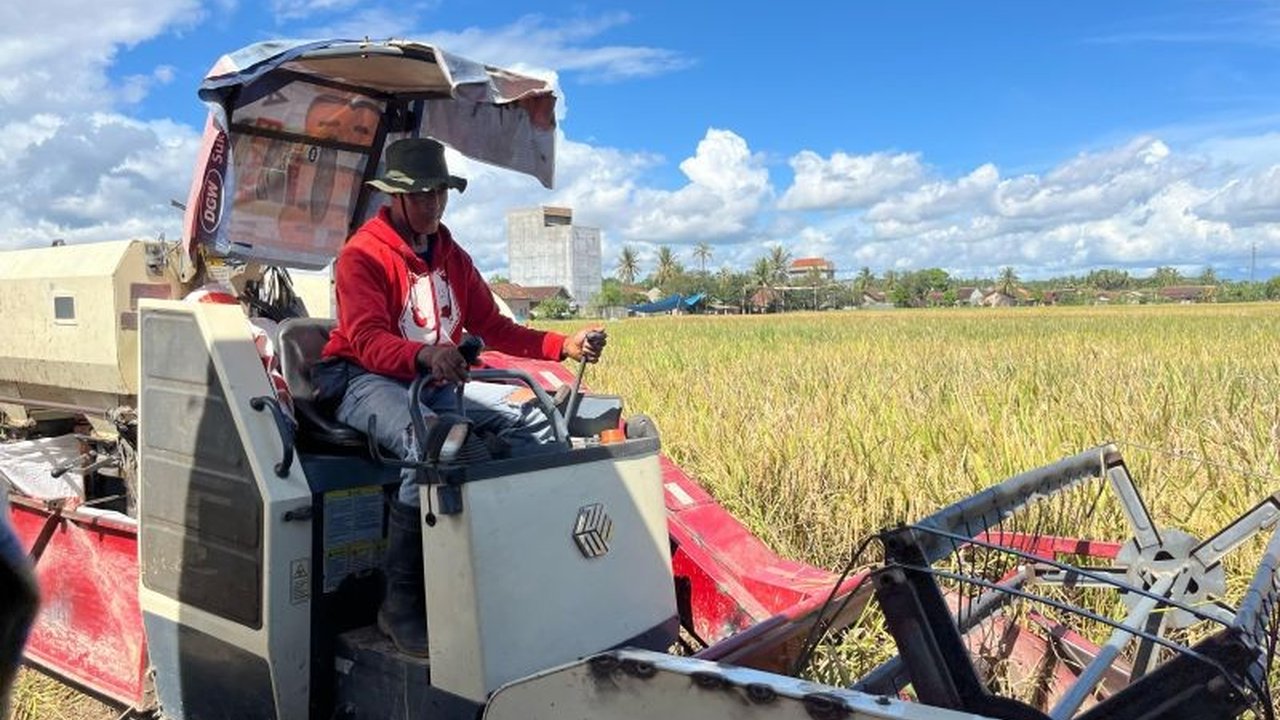Perum Bulog Kanwil Lampung mengajukan pembangunan lima fasilitas pengering padi untuk mengatasi terbatasnya kapasitas pengeringan gabah saat panen raya dan meningkatkan penyerapan gabah petani.