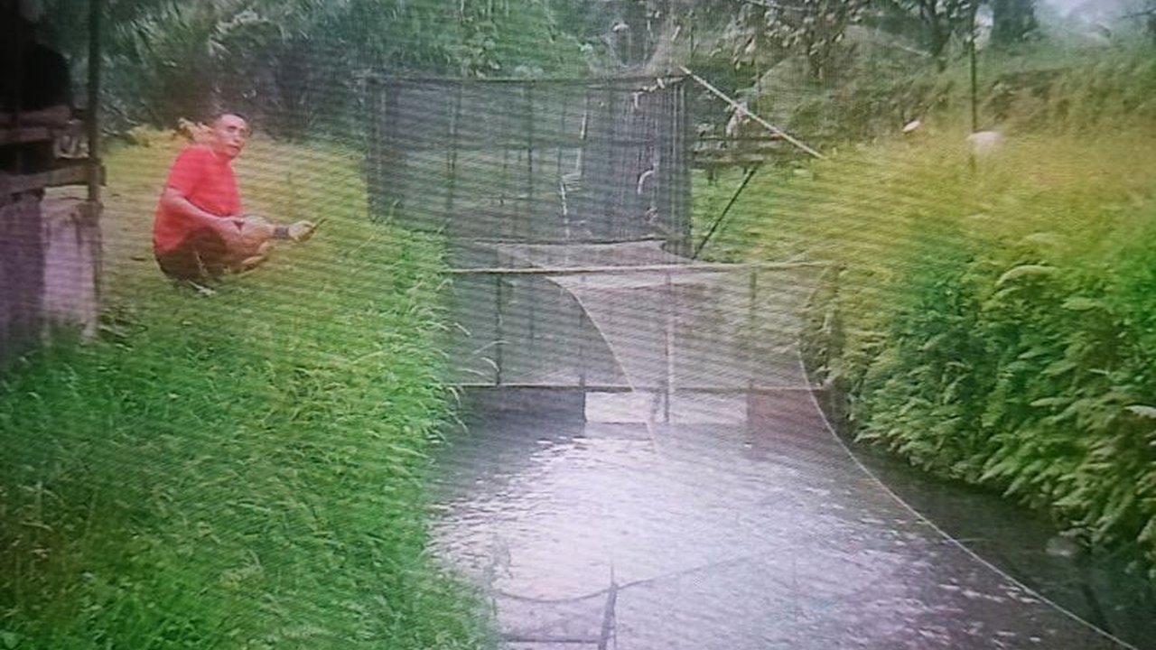 Kabupaten Pasaman Barat, Sumatera Barat, berhasil memproduksi 28.096 ton ikan selama tiga bulan pertama tahun 2025, melampaui target dan menunjukkan potensi besar sektor perikanan daerah tersebut.