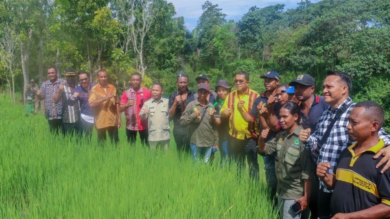 Gubernur NTT, Melki Laka Lena, optimis Kabupaten Ngada dapat menjadi daerah swasembada pangan berkat dukungan pemerintah pusat dan potensi sumber daya alam yang memadai.