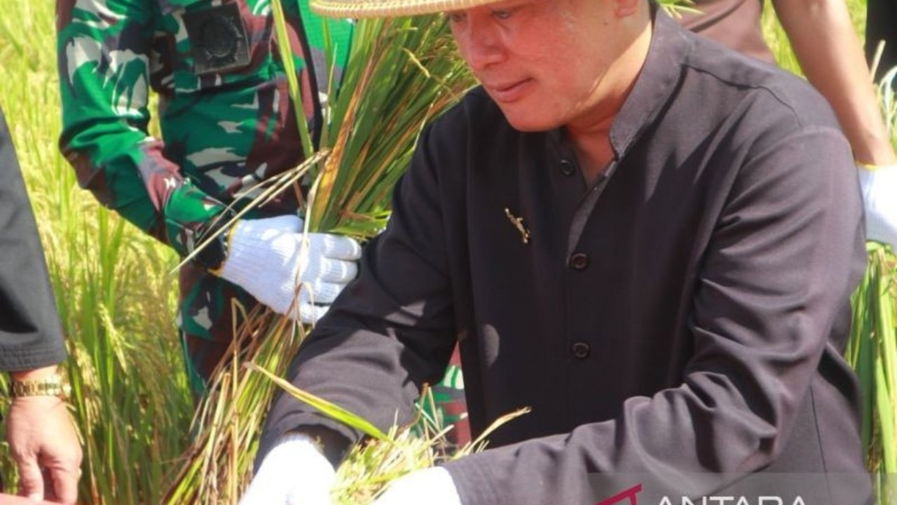 Pemerintah Kabupaten Kuningan menetapkan harga pembelian gabah kering panen (GKP) dari petani sebesar Rp6.500 per kg melalui Surat Edaran untuk melindungi petani dan ketahanan pangan daerah.