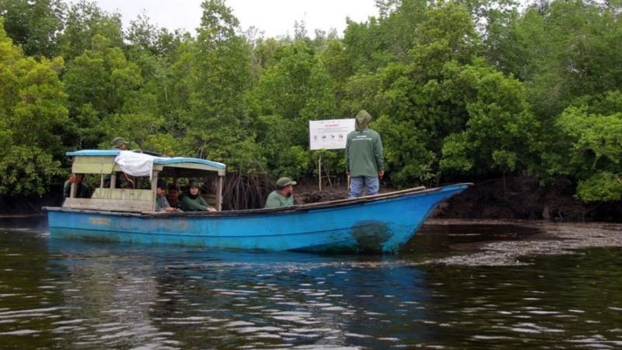 Desa Teluk Pambang, Bengkalis, Riau berhasil menurunkan laju kerusakan hutan mangrove hingga 96 persen dalam tiga tahun terakhir melalui kolaborasi masyarakat dan program konservasi.