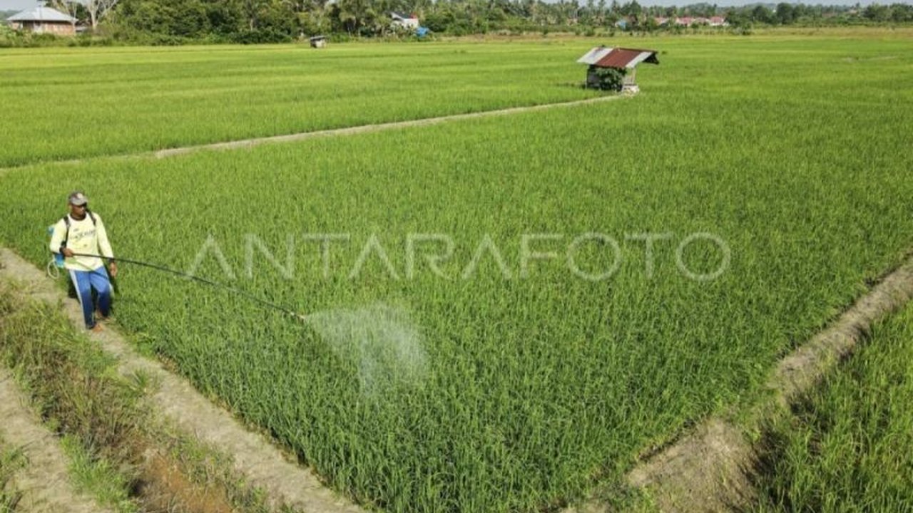 Pemerintah Kabupaten Kotawaringin Timur fokus meningkatkan jalan menuju sentra pertanian demi mendukung ketahanan pangan dan perekonomian masyarakat.