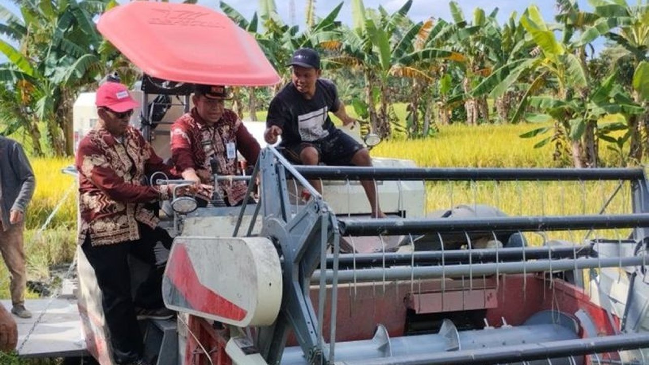 Gabungan Kelompok Tani (Gapoktan) di Tabalong, Kalimantan Selatan, siap menyuplai 20 ton beras per bulan untuk program Bela Tani, sekaligus meningkatkan perekonomian daerah.