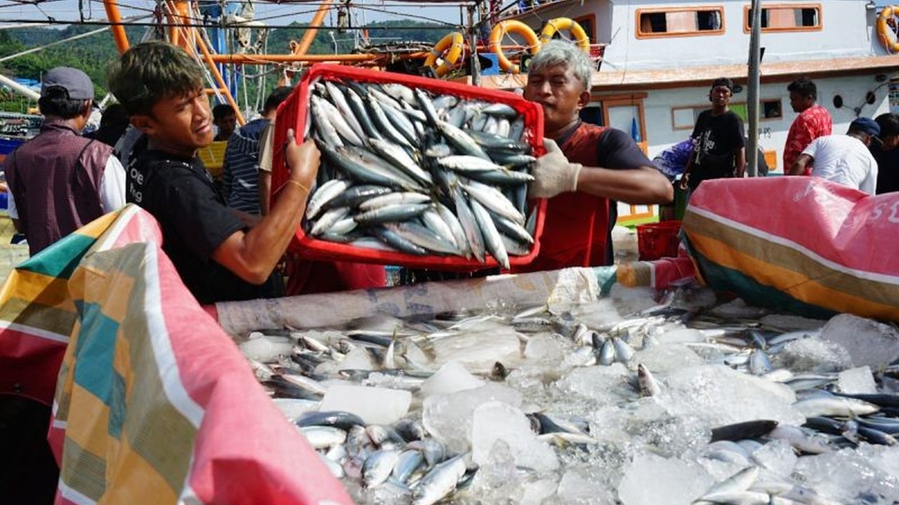 Sulawesi Utara semakin mantap sebagai pusat hilirisasi perikanan Indonesia, dengan ekspor tembus 172,5 juta dolar AS pada 2024, didorong oleh komoditas Tuna, Cakalang, dan Tongkol.