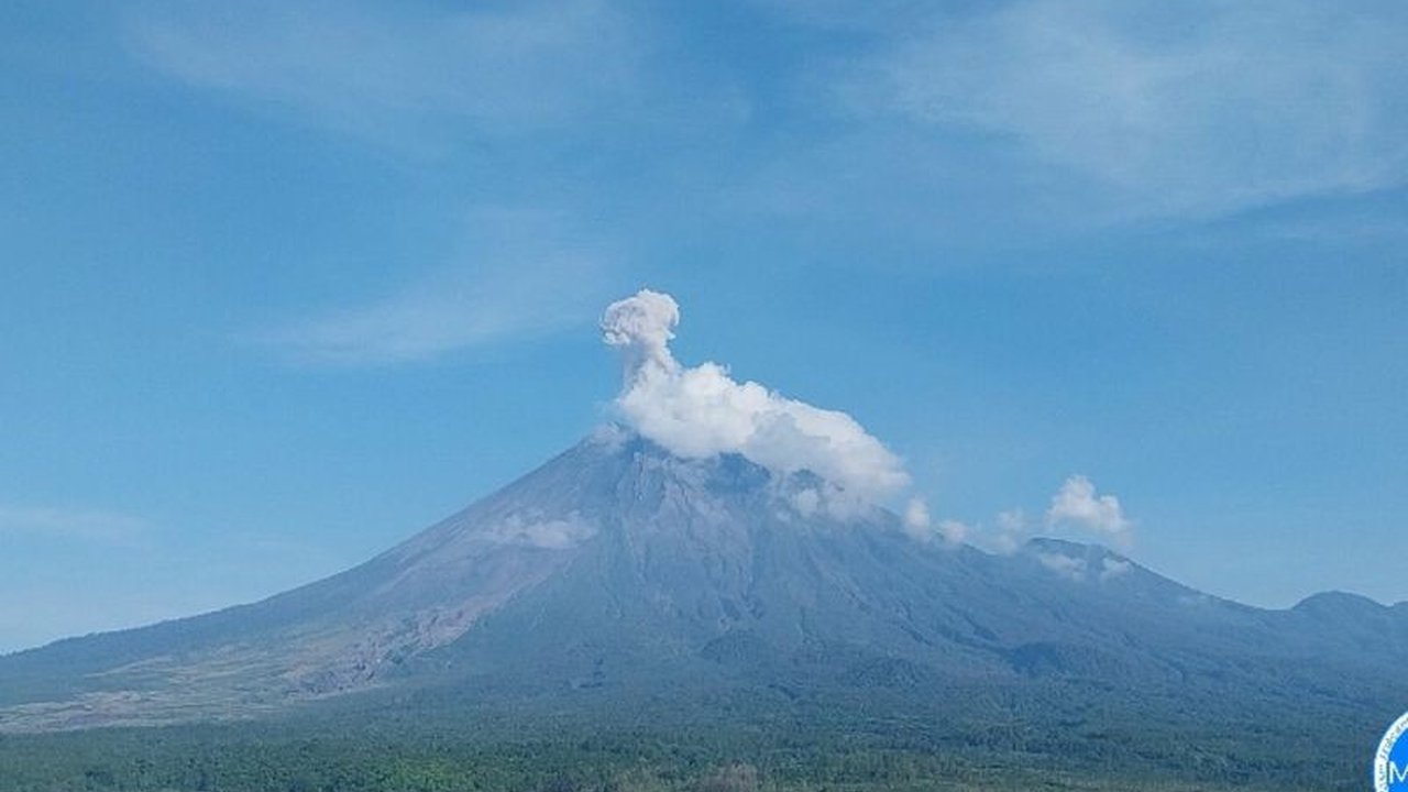 Gunung Semeru kembali erupsi dengan letusan mencapai 1.000 meter, PVMBG memberikan rekomendasi penting bagi masyarakat sekitar.