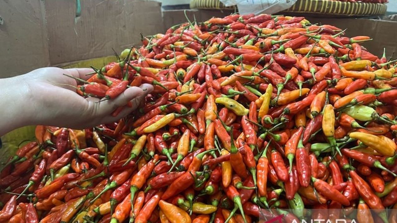Badan Pangan Nasional (Bapanas) melaporkan penurunan harga bawang merah dan cabai rawit merah di tingkat konsumen Jakarta pada 21 April 2024, sementara komoditas pangan lain menunjukkan fluktuasi harga.
