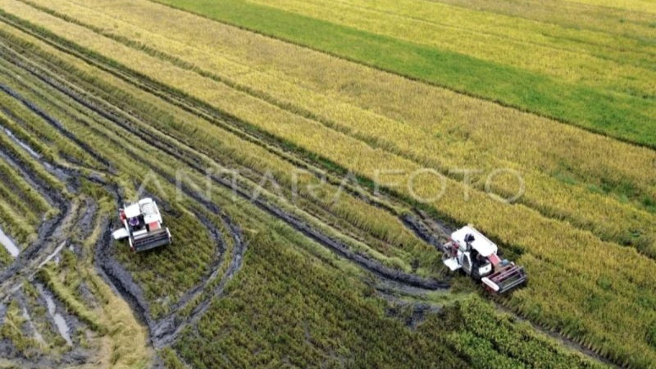18 Brigade Pangan Dukung Ketahanan Pangan Kotim, DPKP Salurkan Alsintan