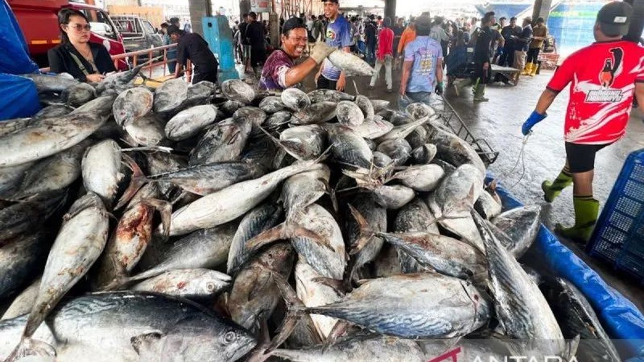 Kementerian Kelautan dan Perikanan (KKP) mempersiapkan aturan teknis pre-border untuk memastikan keamanan dan kualitas ikan impor, melindungi konsumen dari risiko produk tak layak konsumsi.