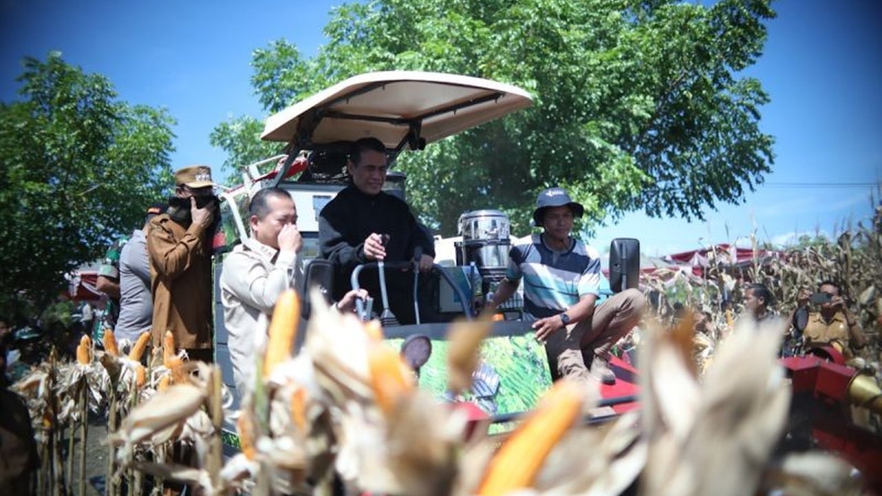 Target Produksi Jagung NTB Naik Eksponensial, Mentan Amran Sulaiman Optimis Swasembada Pangan