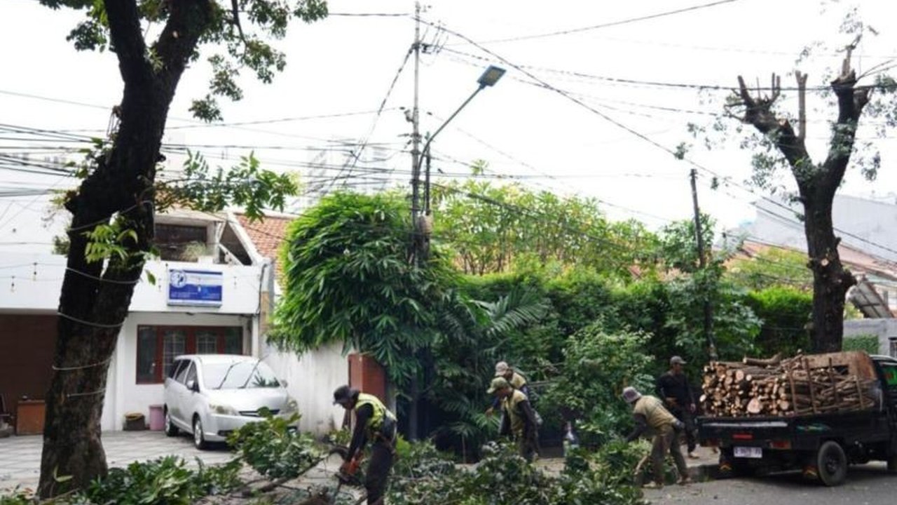 Cegah Pohon Tumbang, Sudin Tamhut Jaksel Pangkas 3.653 Pohon
