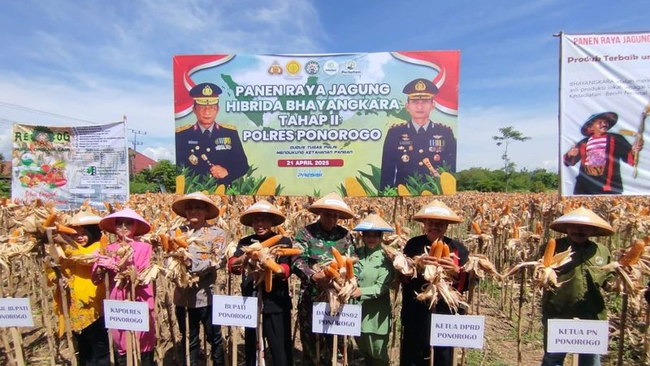 Panen Raya Jagung Bhayangkara di Ponorogo Capai 32 Ton, Bukti Keunggulan Varietas Unggul