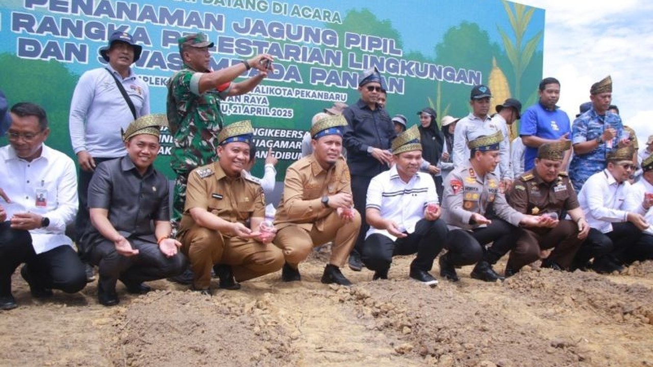 Pemerintah Kota Pekanbaru manfaatkan lahan tidur seluas 11 hektare di Kompleks Perkantoran Tenayan Raya untuk menanam 15 ribu batang jagung pipil, demi mewujudkan swasembada pangan dan ekonomi berputar.