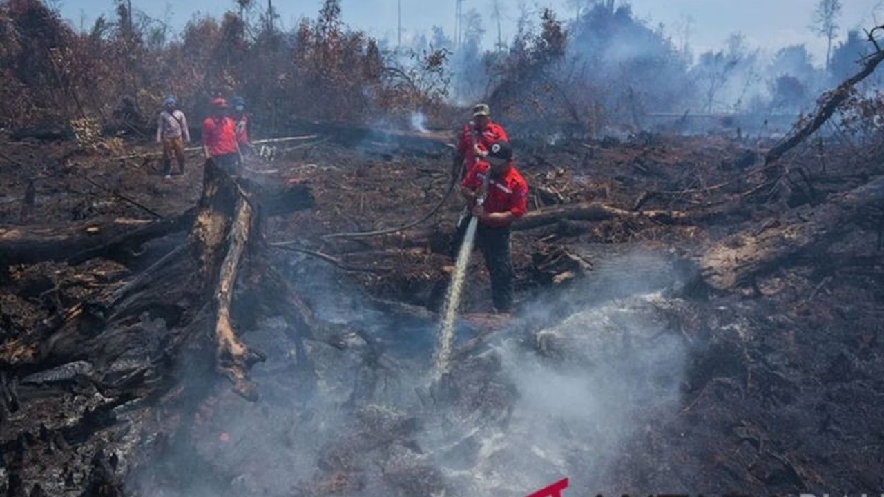 BMKG dan Kemenhut bahas upaya pencegahan dini karhutla 2025, modifikasi cuaca jadi opsi utama antisipasi musim kemarau.