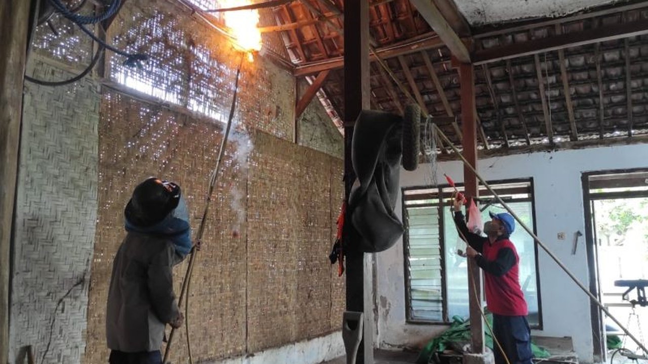 Damkar Tulungagung kewalahan menangani ratusan aduan sarang tawon vespa selama Januari-April 2025, kendati telah berhasil mengevakuasi sebagian besar kasus.