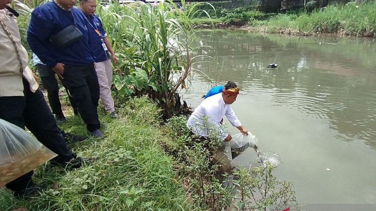 Penebaran 5.000 benih ikan lele dan nila di Sungai Gelis, Kudus, bertujuan memulihkan ekosistem sungai dan meningkatkan ketersediaan ikan untuk warga.