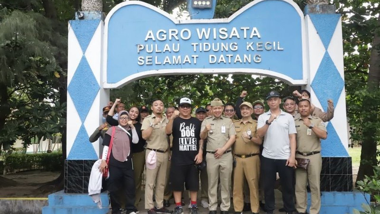 Pulau Kucing di Kepulauan Seribu: Persiapan Matang, Libatkan Ahli dan Perhatikan Kesejahteraan Kucing