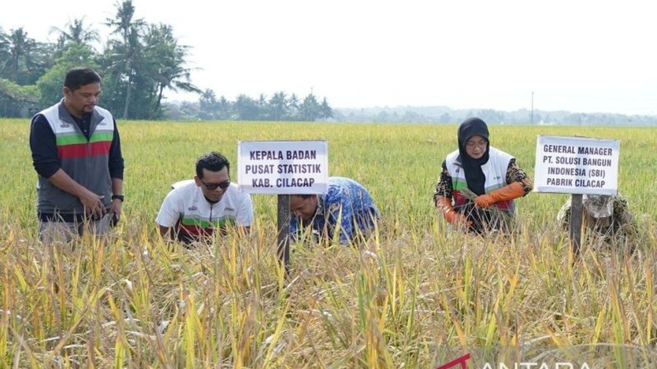 PT Semen Indonesia (SIG) melalui anak usahanya, Solusi Bangun Indonesia, berhasil meningkatkan produktivitas pertanian di lahan suboptimal di Cilacap dengan menanam padi varietas biosalin 2, menghasilkan panen perdana 18,68 ton.