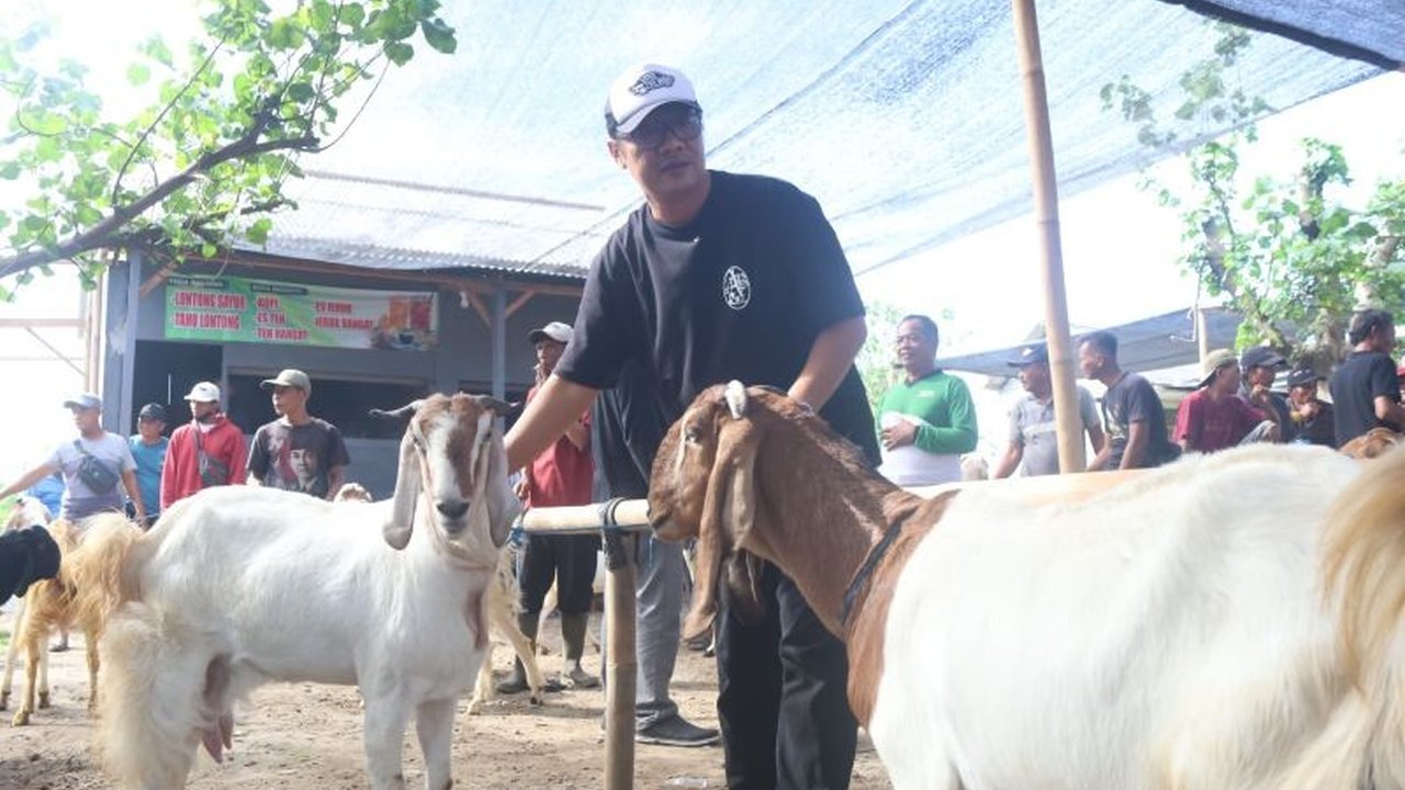 Pembukaan Pasar Hewan Desa Sumberjo, Kediri, memberikan dampak positif bagi perekonomian warga sekitar, terutama para peternak kambing dan sapi.