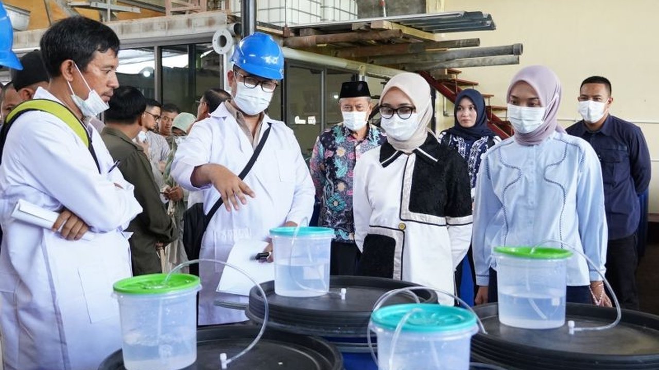 Pemprov Lampung alokasikan Rp10 miliar untuk membantu petani dengan alat pengering hasil panen, dorong hilirisasi pertanian dan tingkatkan kesejahteraan.