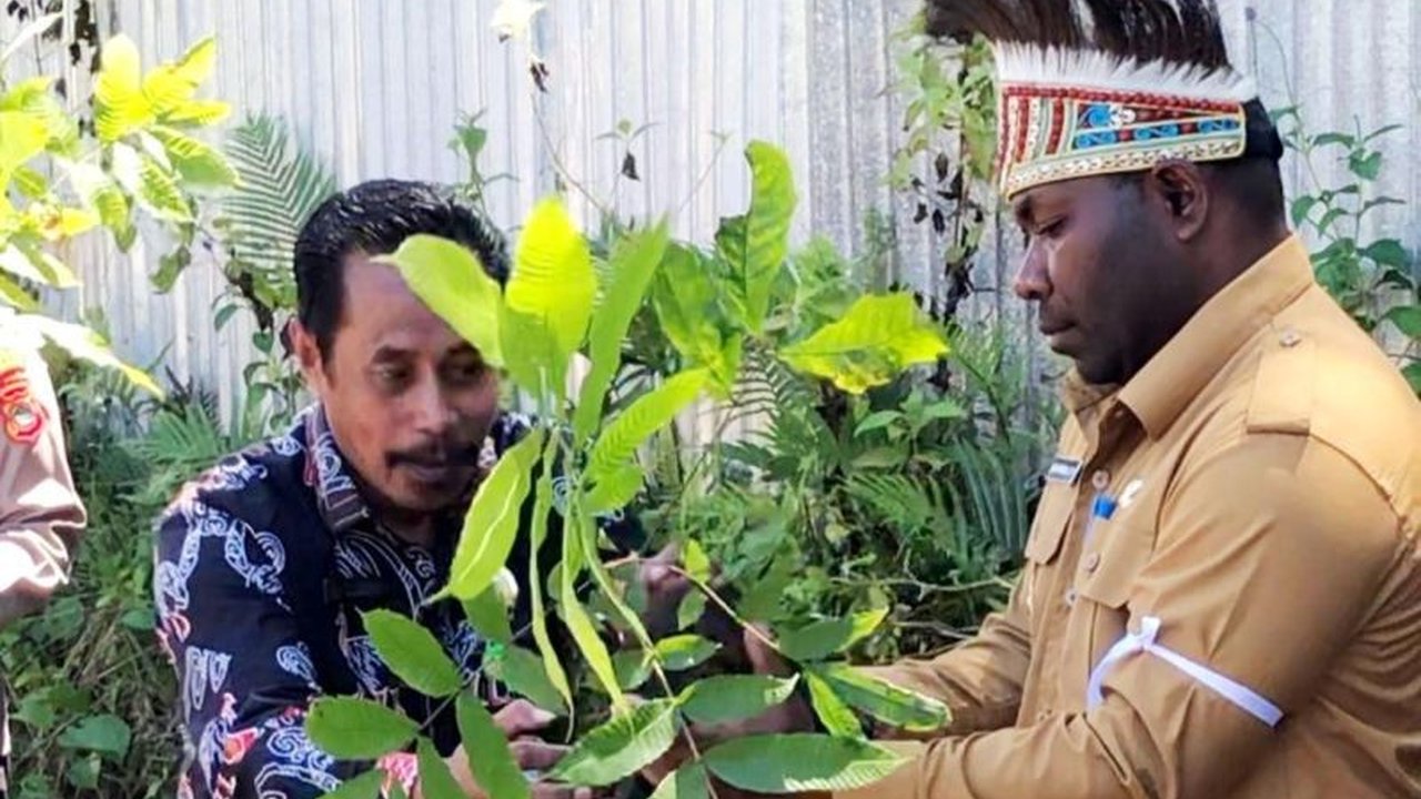 Kemenag Kaimana menanam ratusan bibit pohon matoa di Hari Bumi 2025 sebagai upaya pelestarian lingkungan dan penghijauan, melibatkan Pemkab Kaimana dan berbagai instansi.