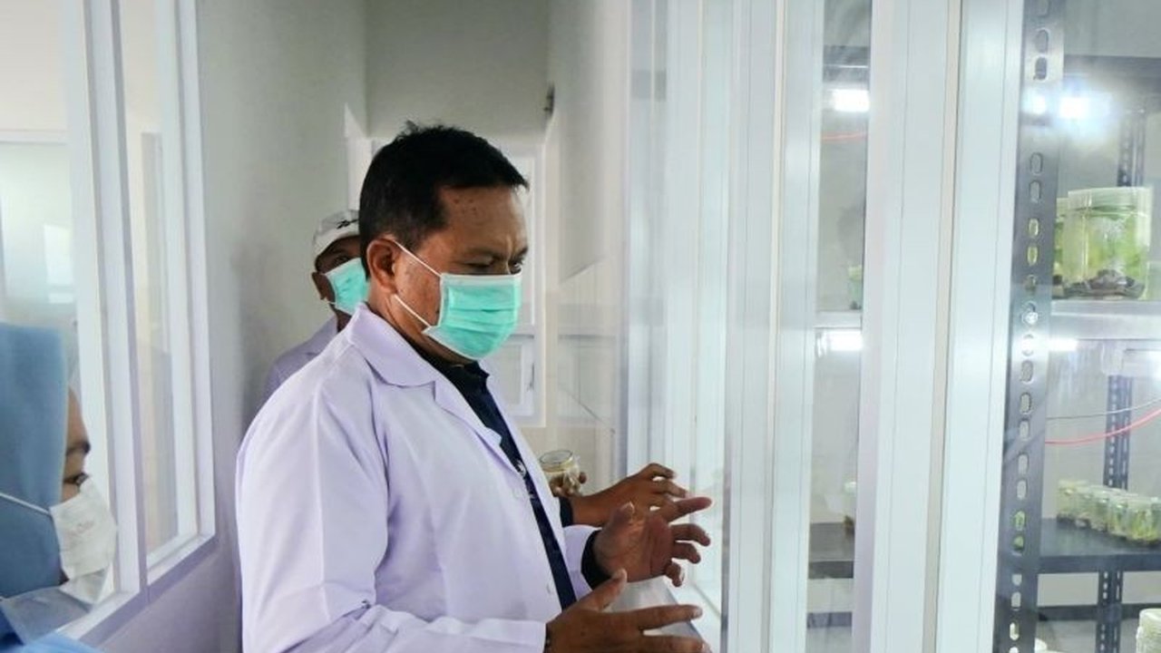 Wali Kota Madiun, Maidi, resmikan laboratorium kultur jaringan untuk pengembangan bibit unggul dan ketahanan pangan Kota Madiun, memanfaatkan teknologi modern dan inovasi pertanian.