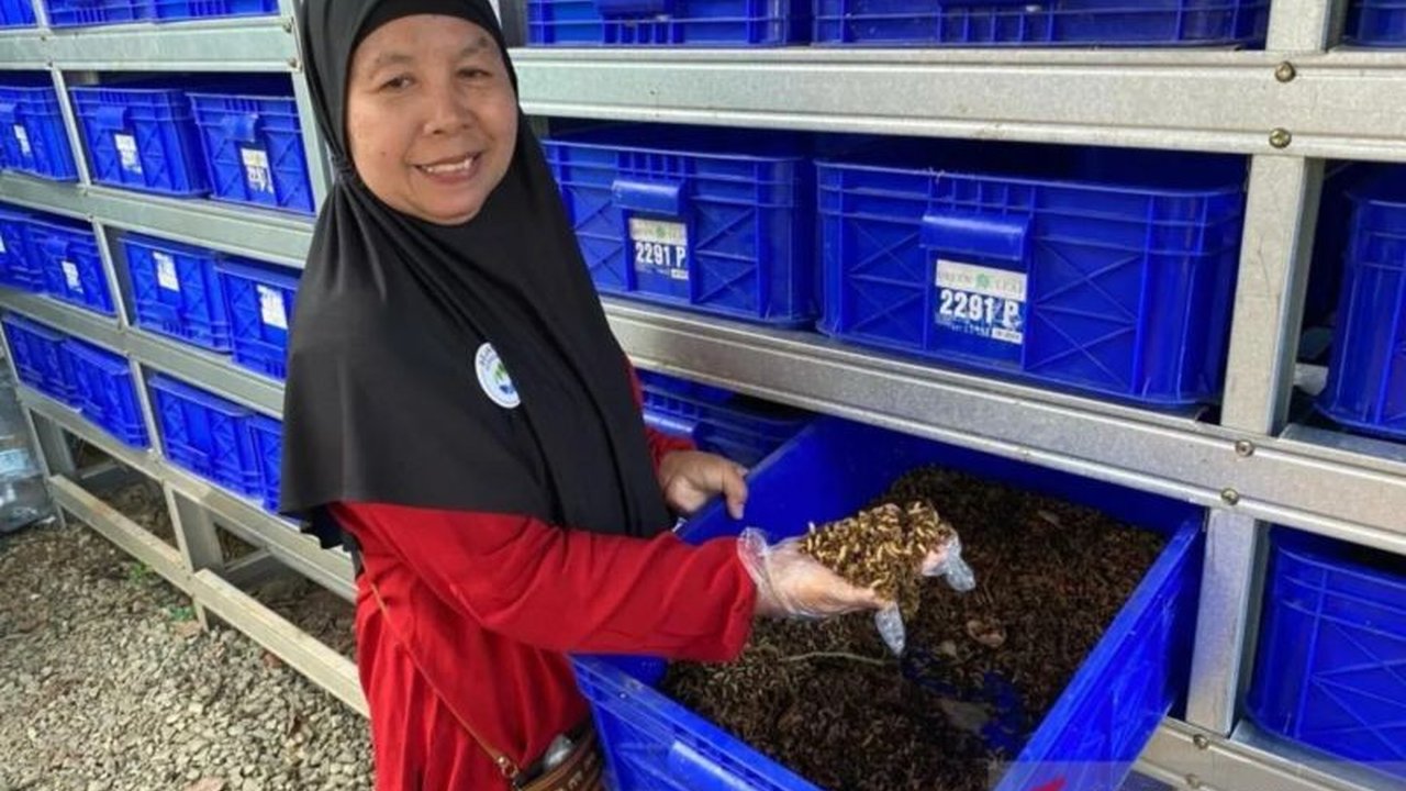 Sudin LH Jaksel berkolaborasi dengan Laskaru Jagakarsa memasifkan budidaya maggot untuk mengolah sampah organik di delapan kecamatan Jakarta Selatan, mendukung pelestarian lingkungan dan kesejahteraan masyarakat.
