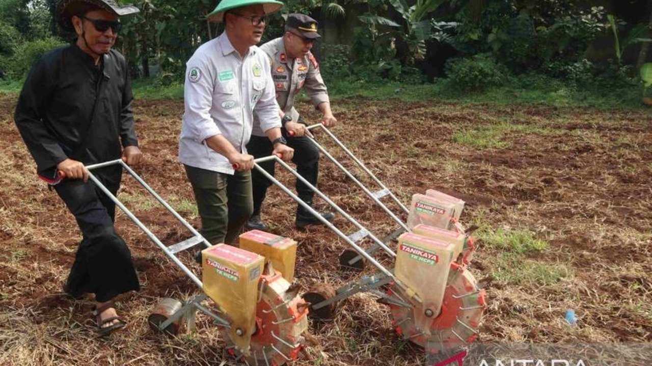 Pemkab Kuningan sukses mengubah lahan tidur seluas 0,7 hektare di Kecamatan Luragung menjadi demplot jagung hibrida, menerapkan teknologi modern untuk meningkatkan produktivitas dan perekonomian warga.