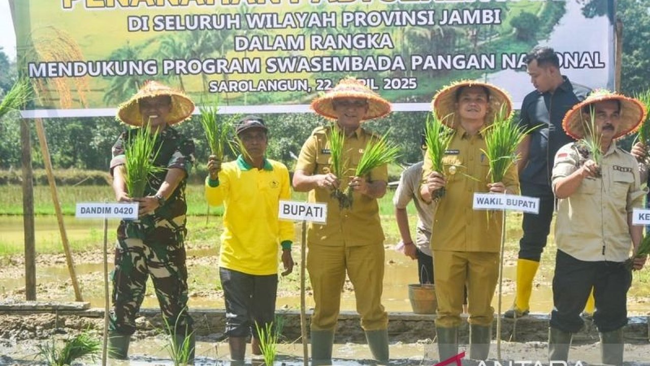 Sarolangun Targetkan 7.413 Hektare Sawah untuk Swasembada Pangan
