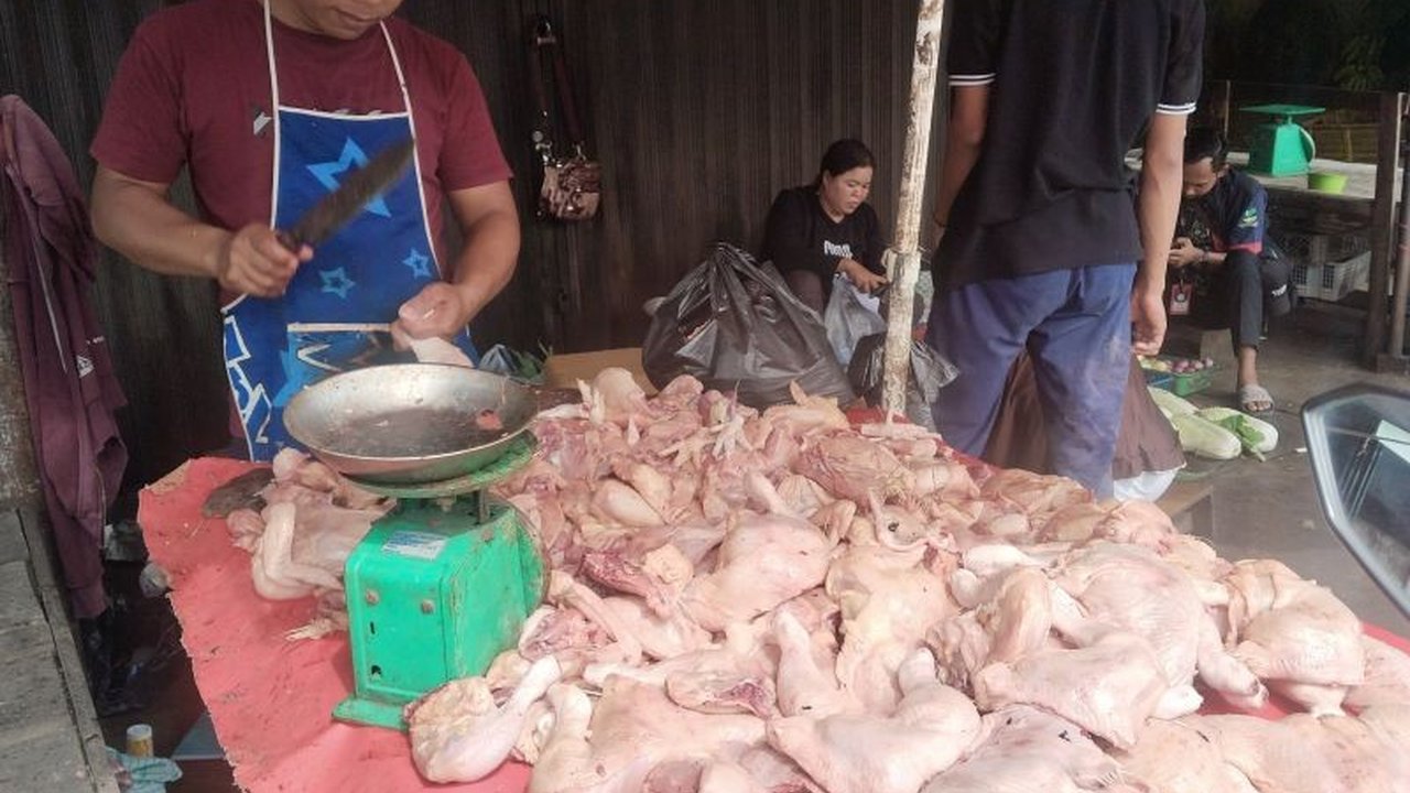 Harga ayam potong di Palembang mengalami penurunan signifikan hingga Rp18.000 per kilogram, dampaknya terhadap pedagang dan konsumen diulas dalam berita ini.