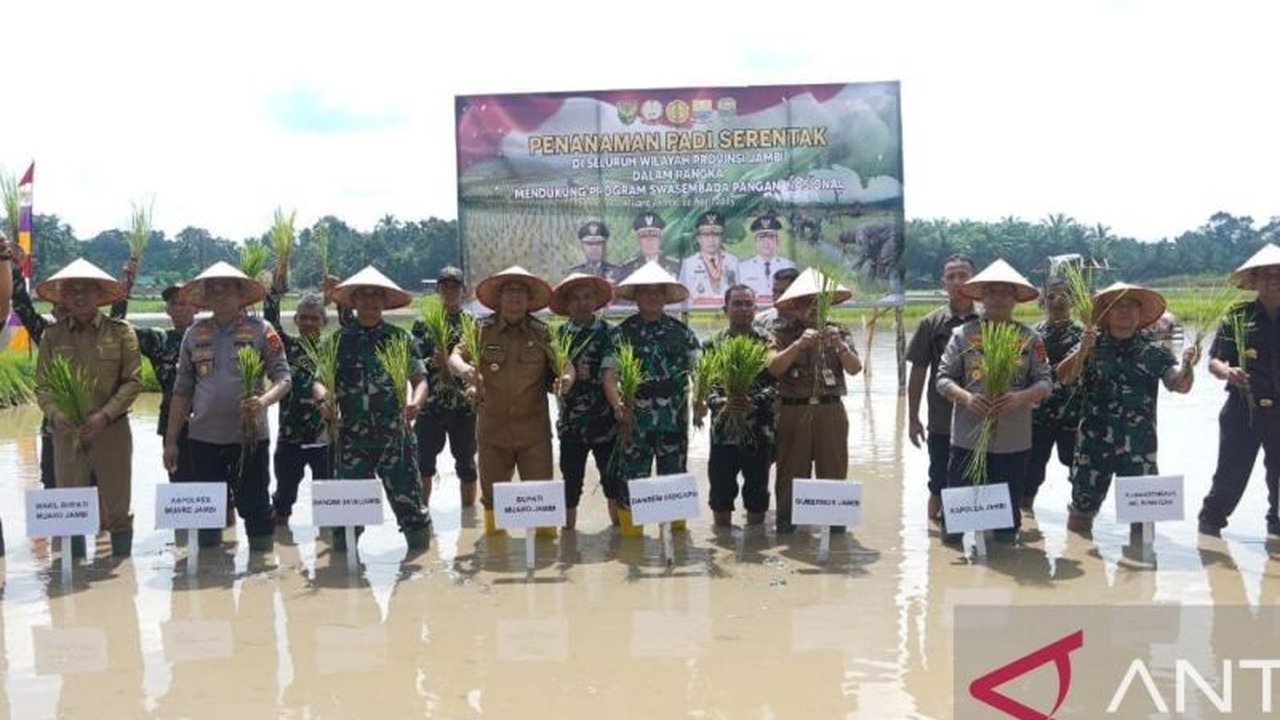 TNI siap membantu penanaman padi serentak di Jambi untuk percepat swasembada pangan, ditandai dengan peningkatan NTP dan NTUP di Provinsi Jambi.