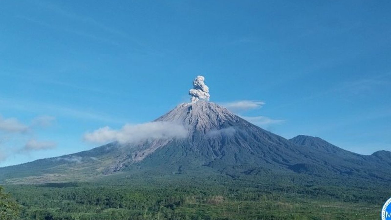Semeru Erupsi! Letusan 900 Meter di Atas Puncak, Warga Diminta Waspada