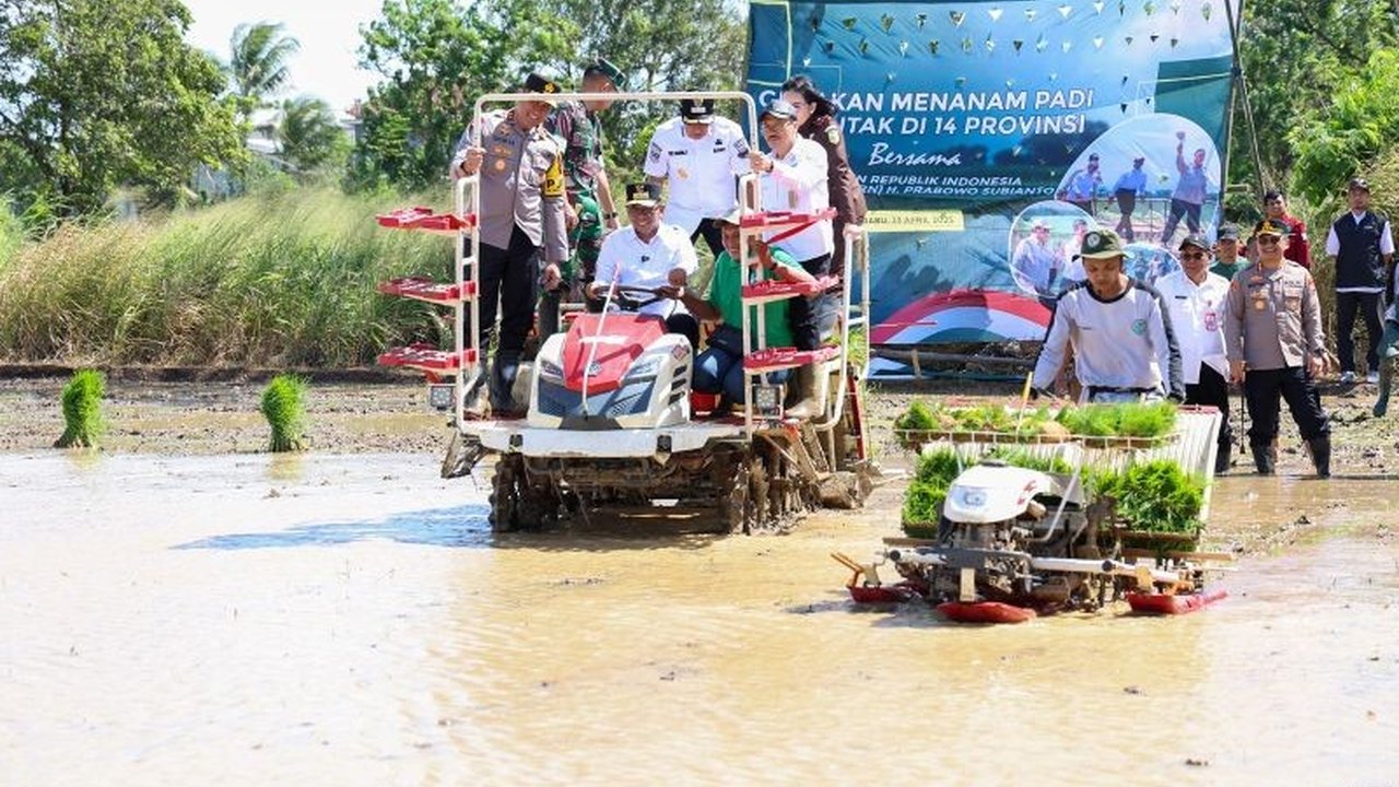 Gubernur Banten optimistis Provinsi Banten akan mencapai swasembada pangan pada tahun 2025 melalui berbagai program intensifikasi pertanian dan dukungan penuh Forkopimda.