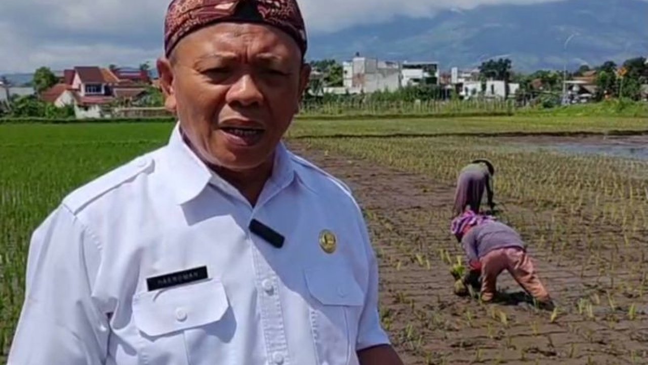 Garut Gelorakan Tanam Padi Serentak: Jaga Swasembada Pangan Nasional