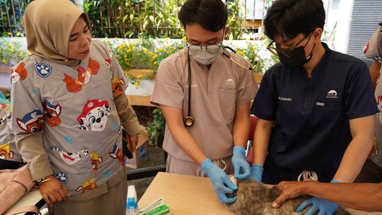 Vaksinasi Rabies Gratis di Tebet, Jakarta Selatan: 146 Hewan Terlindungi